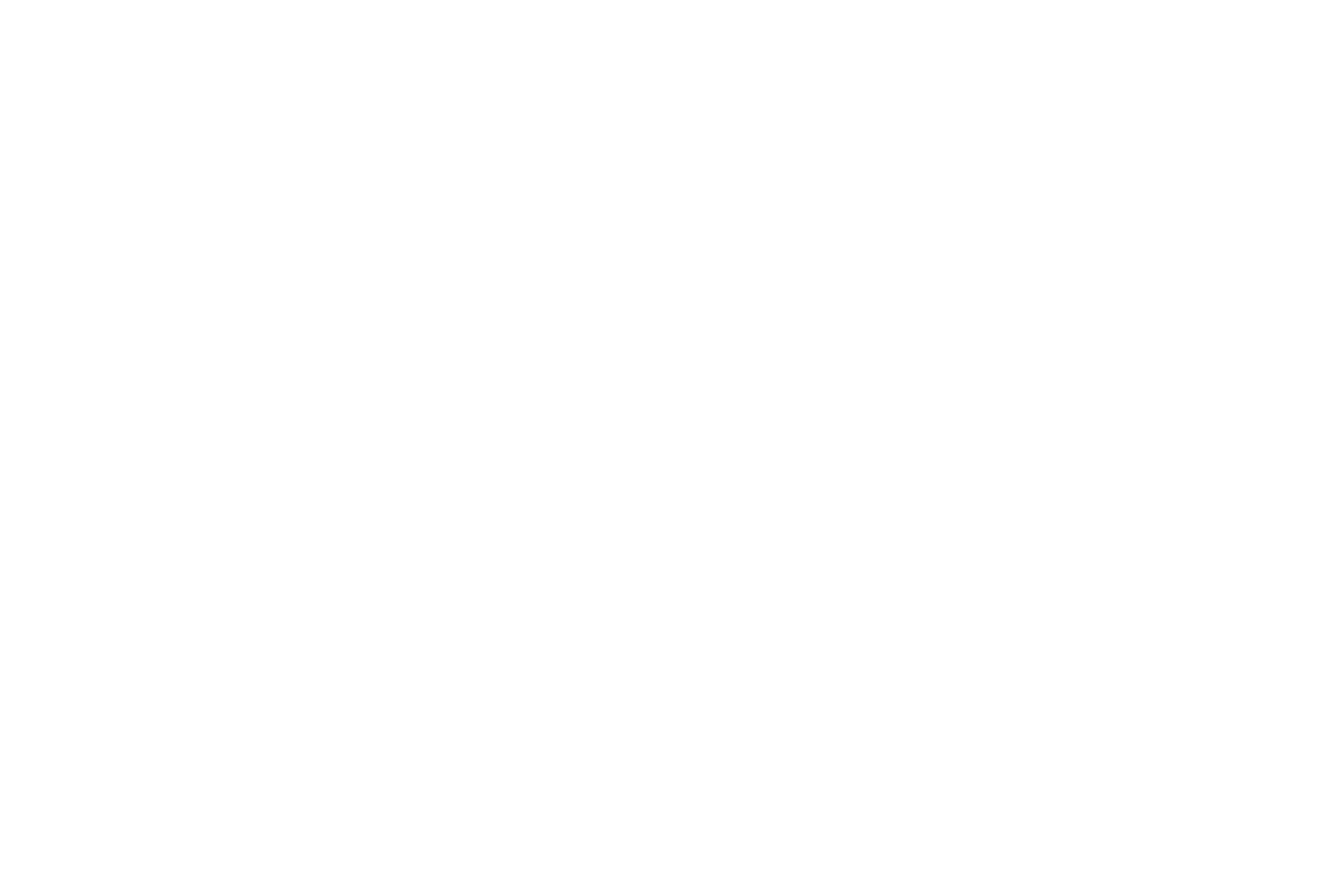 Selo Segunda Pele Tattoo